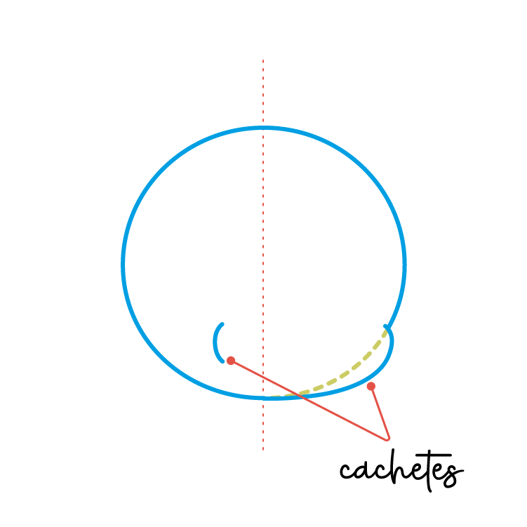 dibujar pez globo paso 2