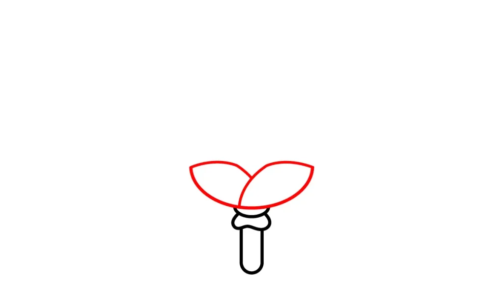 Tutorial de dibujo kawaii — elote kawaii paso 2: Las hojas protectoras