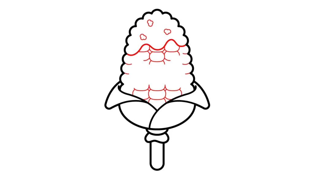 Tutorial de dibujo kawaii — elote kawaii paso 4: Los detalles de la mazorca
