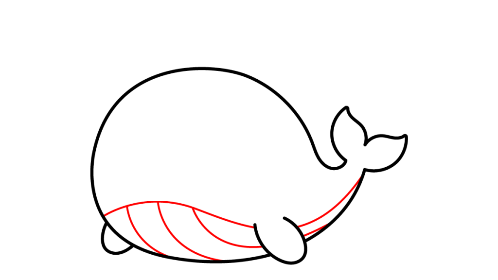 Tutorial de dibujo kawaii — ballena kawaii paso 3: Detalles del estómago
